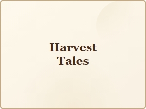 Elegant Serif Fonts for a Harvest-Inspired Autumn Season