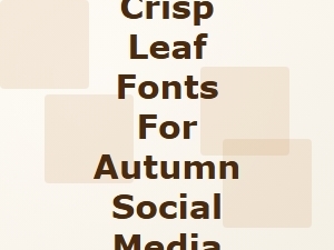 Modern Crisp Leaf Fonts for Autumn Social Media Graphics