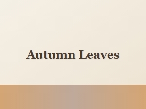Elegant Fall Fonts with Weathered Wood Texture